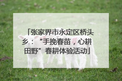 张家界市永定区桥头乡：“手挽春苗，心耕田野”春耕体验活动