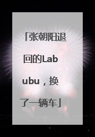 张朝阳退回的Labubu，换了一辆车