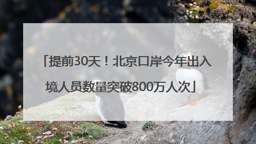 提前30天！北京口岸今年出入境人员数量突破800万人次