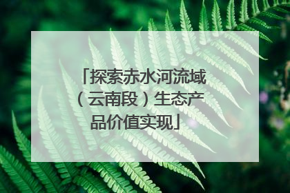 探索赤水河流域（云南段）生态产品价值实现