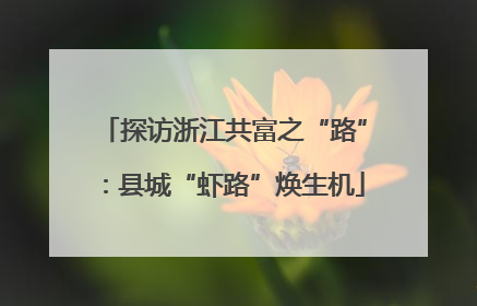 探访浙江共富之“路”：县城“虾路”焕生机