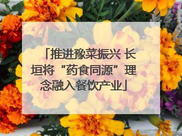 推进豫菜振兴 长垣将“药食同源”理念融入餐饮产业