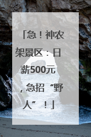 急！神农架景区：日薪500元，急招“野人”！