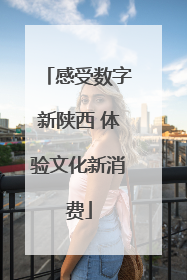 感受数字新陕西 体验文化新消费
