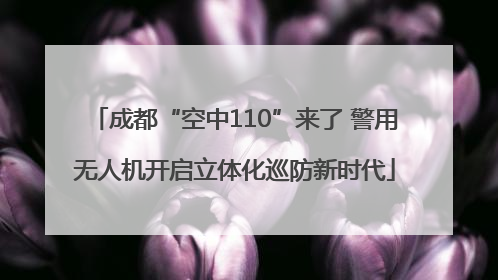 成都“空中110”来了 警用无人机开启立体化巡防新时代