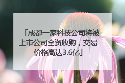 成都一家科技公司将被上市公司全资收购，交易价格高达3.6亿