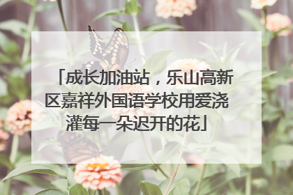 成长加油站，乐山高新区嘉祥外国语学校用爱浇灌每一朵迟开的花