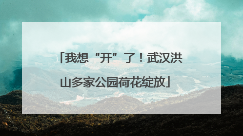 我想“开”了！武汉洪山多家公园荷花绽放