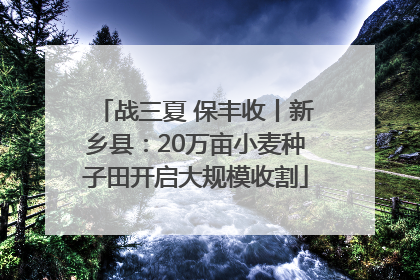 战三夏 保丰收丨新乡县：20万亩小麦种子田开启大规模收割