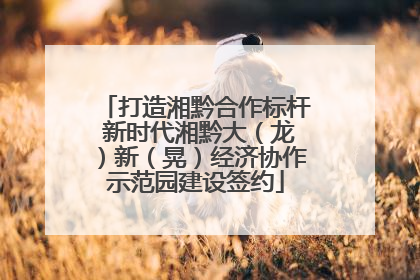 打造湘黔合作标杆 新时代湘黔大（龙）新（晃）经济协作示范园建设签约