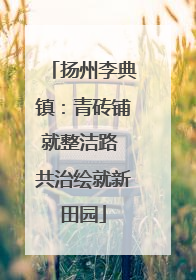 扬州李典镇：青砖铺就整洁路 共治绘就新田园