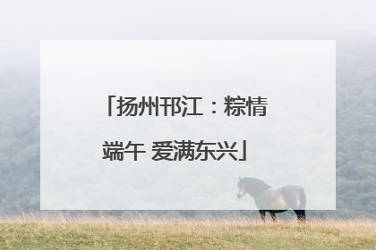 扬州邗江：粽情端午 爱满东兴