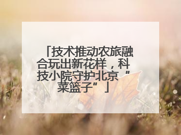 技术推动农旅融合玩出新花样，科技小院守护北京“菜篮子”