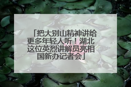 把大别山精神讲给更多年轻人听！湖北这位英烈讲解员亮相国新办记者会