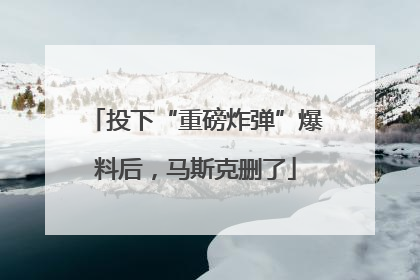 投下“重磅炸弹”爆料后，马斯克删了