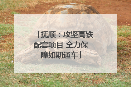 抚顺：攻坚高铁配套项目 全力保障如期通车