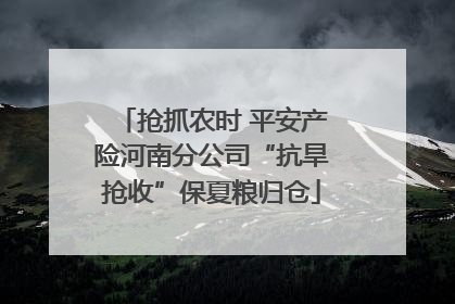 抢抓农时 平安产险河南分公司“抗旱抢收”保夏粮归仓