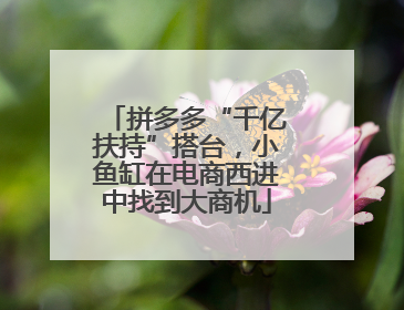 拼多多“千亿扶持”搭台，小鱼缸在电商西进中找到大商机