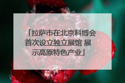 拉萨市在北京科博会首次设立独立展馆 展示高原特色产业