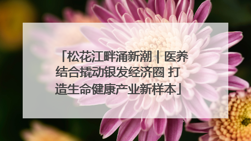 松花江畔涌新潮｜医养结合撬动银发经济圈 打造生命健康产业新样本