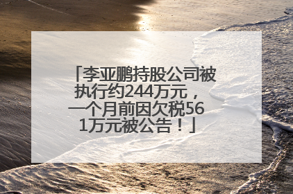 李亚鹏持股公司被执行约244万元，一个月前因欠税561万元被公告！