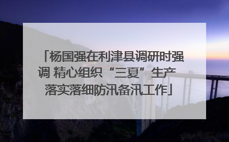 杨国强在利津县调研时强调 精心组织“三夏”生产 落实落细防汛备汛工作