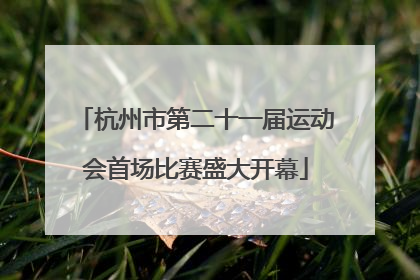 杭州市第二十一届运动会首场比赛盛大开幕
