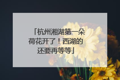 杭州湘湖第一朵荷花开了！西湖的还要再等等