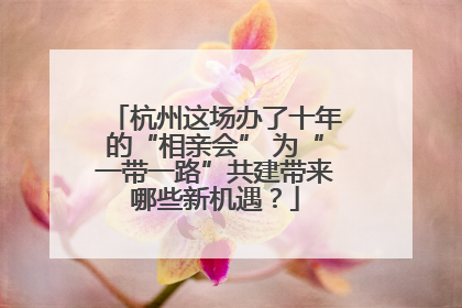 杭州这场办了十年的“相亲会” 为“一带一路”共建带来哪些新机遇？