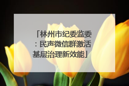 林州市纪委监委：民声微信群激活基层治理新效能