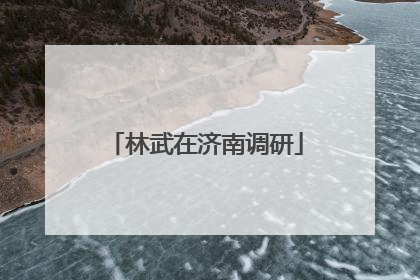林武在济南调研
