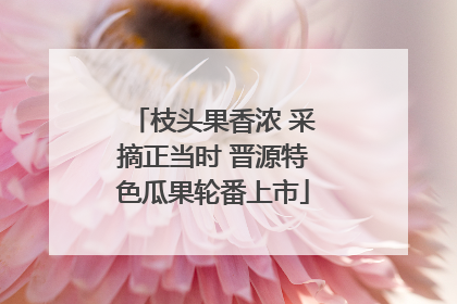 枝头果香浓 采摘正当时 晋源特色瓜果轮番上市