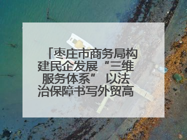 枣庄市商务局构建民企发展“三维服务体系” 以法治保障书写外贸高质量答卷