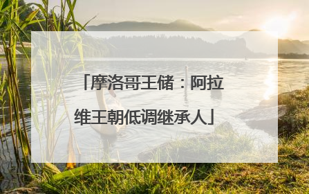 摩洛哥王储：阿拉维王朝低调继承人
