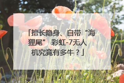 擅长隐身、自带“海狸尾” 彩虹-7无人机究竟有多牛？