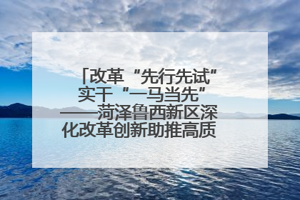 改革“先行先试” 实干“一马当先”——菏泽鲁西新区深化改革创新助推高质量发展纪实