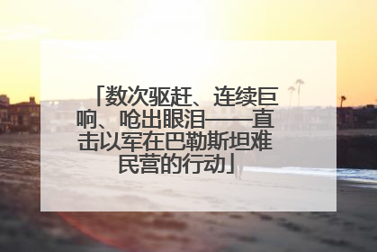 数次驱赶、连续巨响、呛出眼泪——直击以军在巴勒斯坦难民营的行动