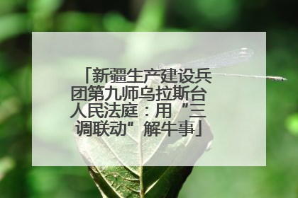 新疆生产建设兵团第九师乌拉斯台人民法庭：用“三调联动”解牛事