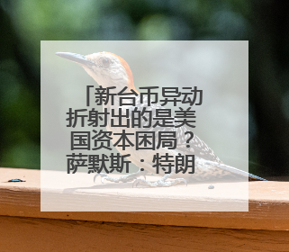 新台币异动折射出的是美国资本困局？萨默斯：特朗普政策自相矛盾！