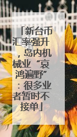 新台币汇率强升，岛内机械业“哀鸿遍野”：很多业者暂时不接单