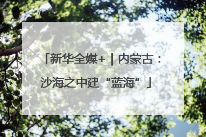 新华全媒+｜内蒙古：沙海之中建“蓝海”