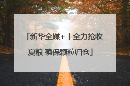 新华全媒+丨全力抢收夏粮 确保颗粒归仓