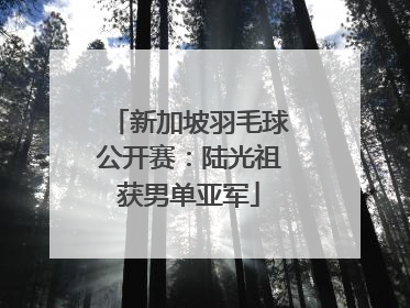 新加坡羽毛球公开赛：陆光祖获男单亚军