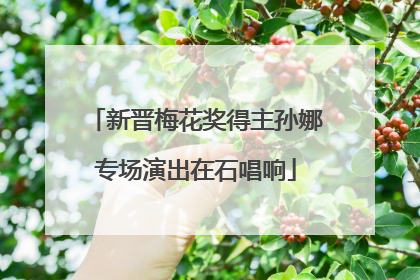 新晋梅花奖得主孙娜专场演出在石唱响
