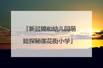 新晨锦和幼儿园萌娃探秘莲花街小学