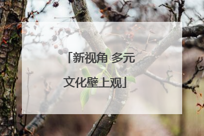 新视角 多元文化壁上观
