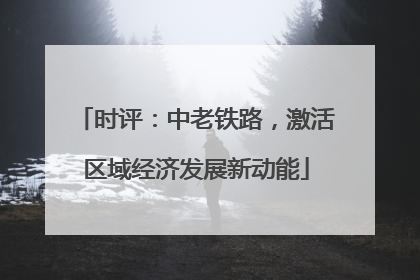 时评：中老铁路，激活区域经济发展新动能