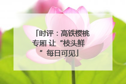 时评：高铁樱桃专厢 让“枝头鲜”每日可见