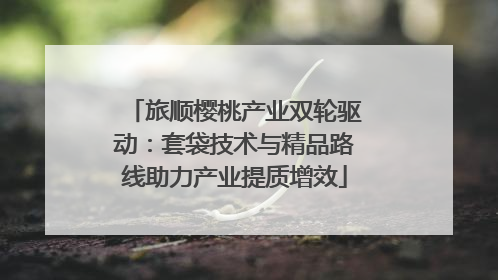 旅顺樱桃产业双轮驱动：套袋技术与精品路线助力产业提质增效