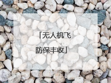 无人机飞防保丰收